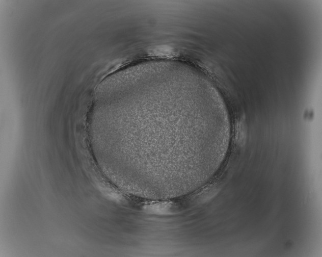 X0000113241201200909241538