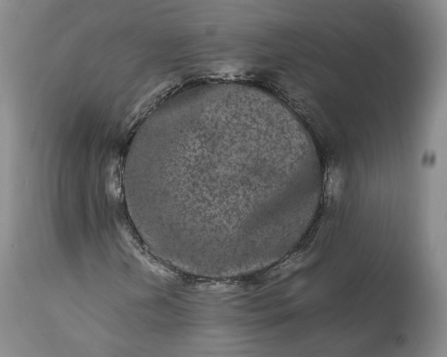 X0000113241202200909241538