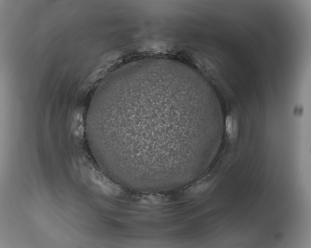 X0000113241203200909241538