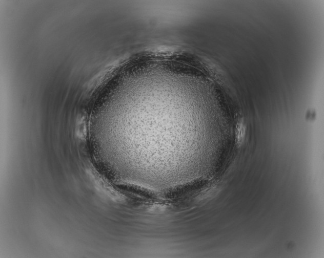 X0000113241204200909241538