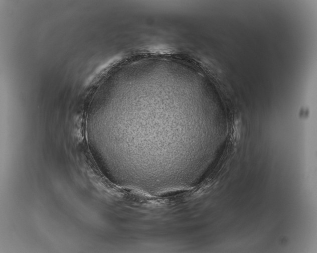 X0000113241205200909241538