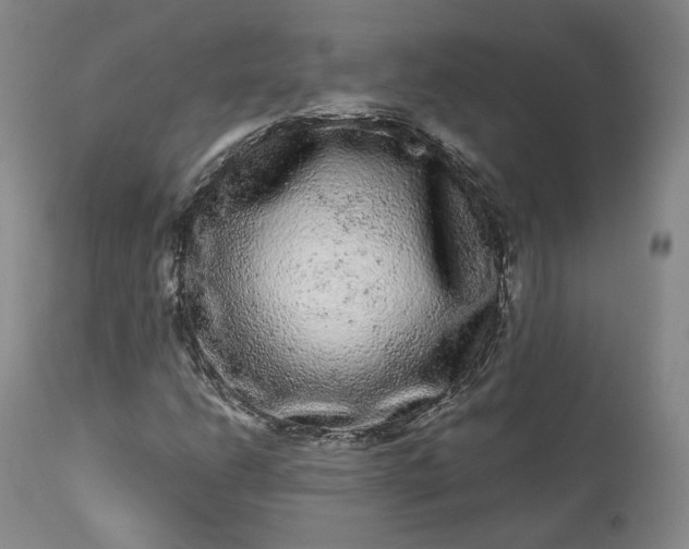 X0000113241206200909241538