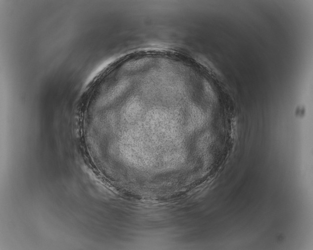 X0000113241208200909241538