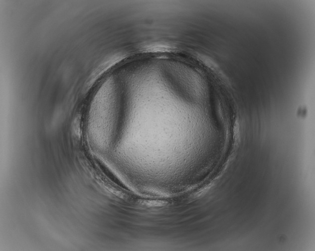 X0000113241209200909241538