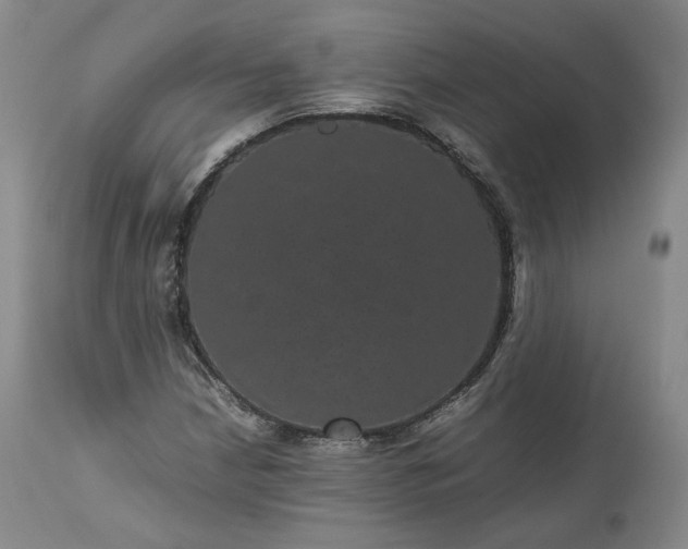 X0000113241210200909241538