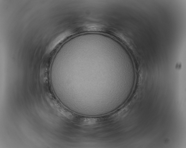 X0000113241211200909241538