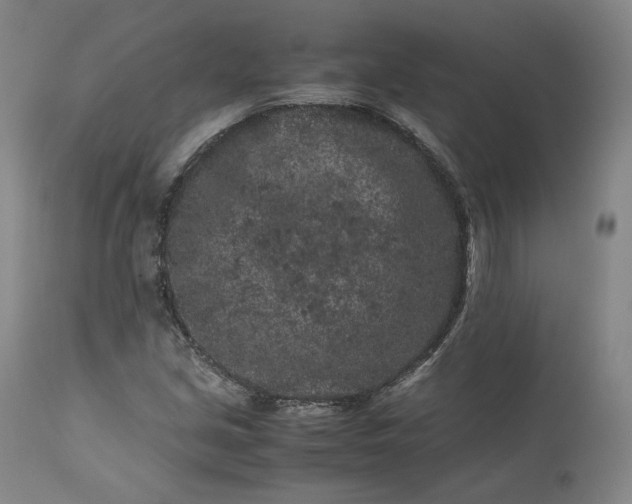 X0000113241213200909241538