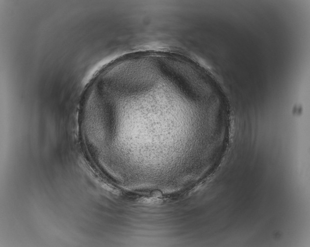 X0000113241214200909241538