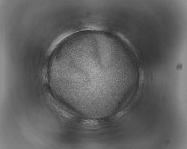 X0000113241215200909241538