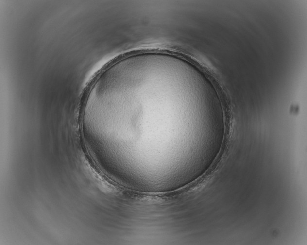 X0000113241216200909241538