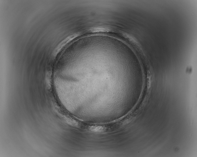 X0000113241217200909241538