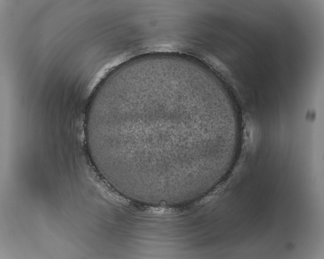 X0000113241218200909241539