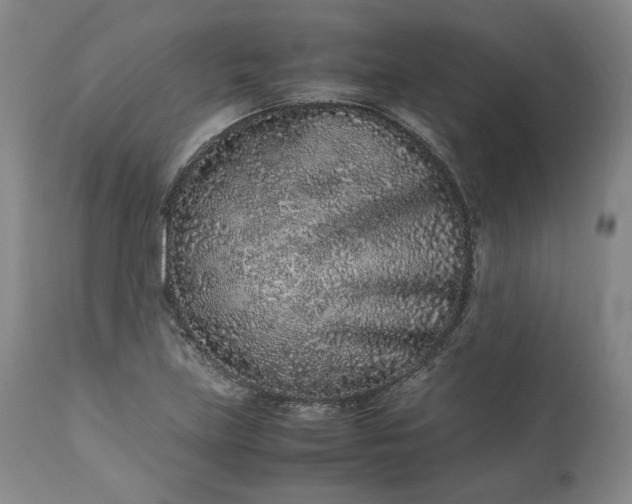 X0000113241219200909241539