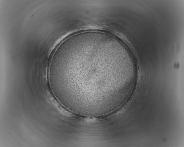 X0000113241220200909241539