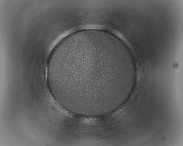 X0000113241221200909241539