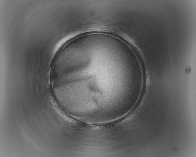 X0000113241222200909241539