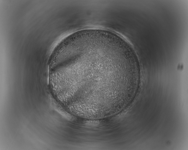 X0000113241223200909241539