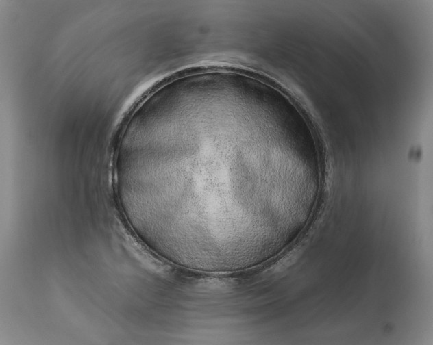 X0000113241224200909241539