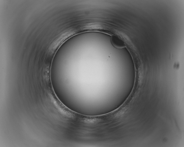 X0000113241225200909241539