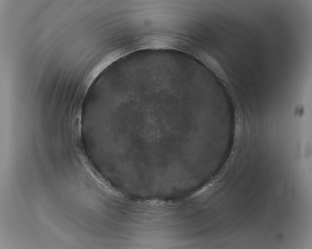 X0000113241226200909241539