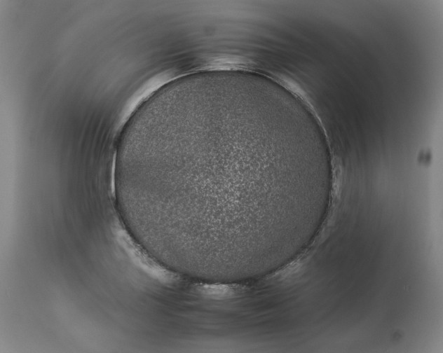 X0000113241227200909241539