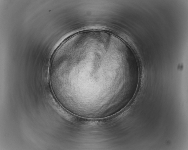 X0000113241228200909241539