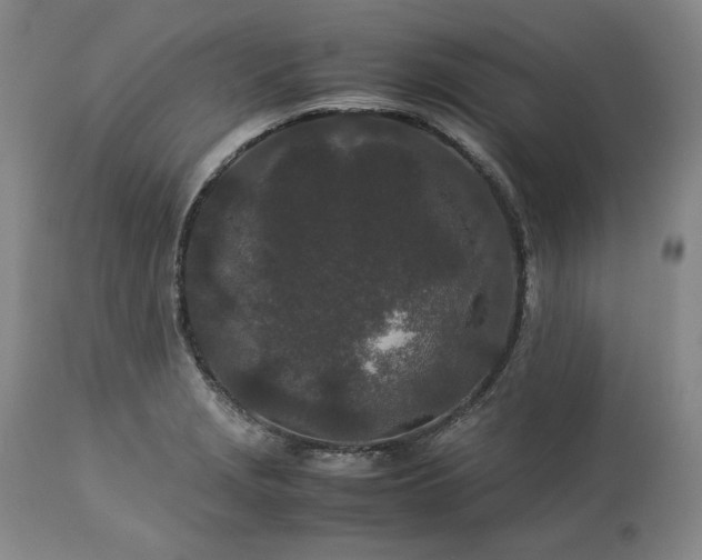 X0000113241229200909241539