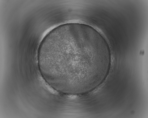 X0000113241230200909241539