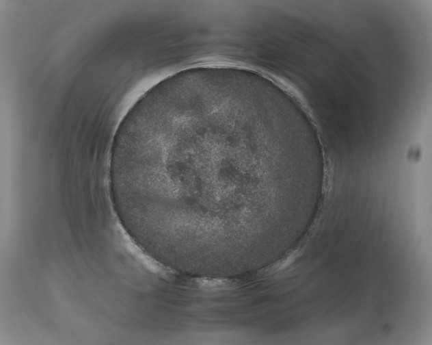 X0000113241231200909241539