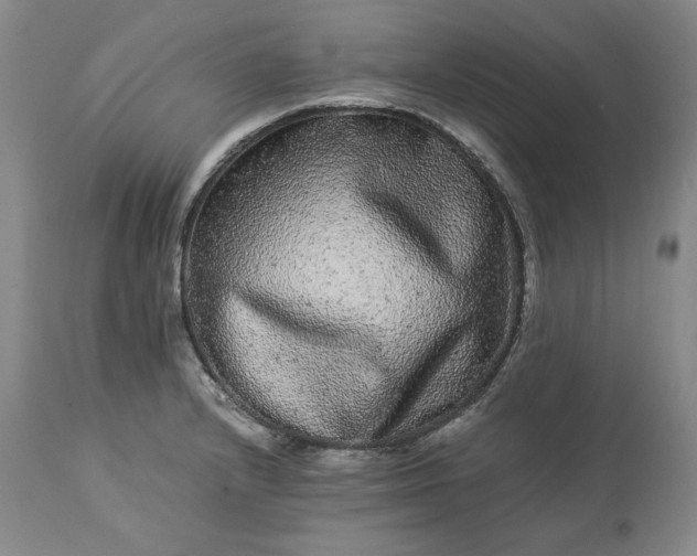 X0000113241232200909241539