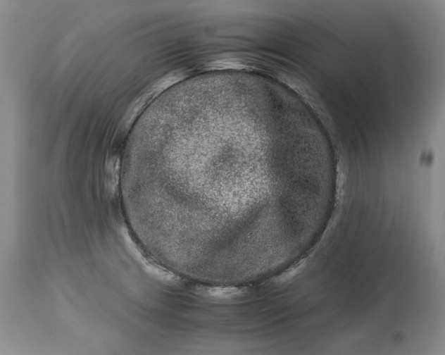 X0000113241233200909241539