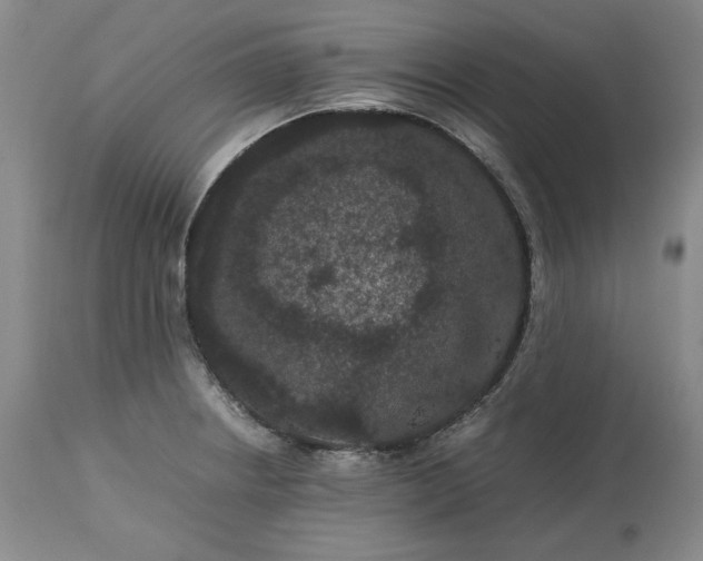 X0000113241234200909241539