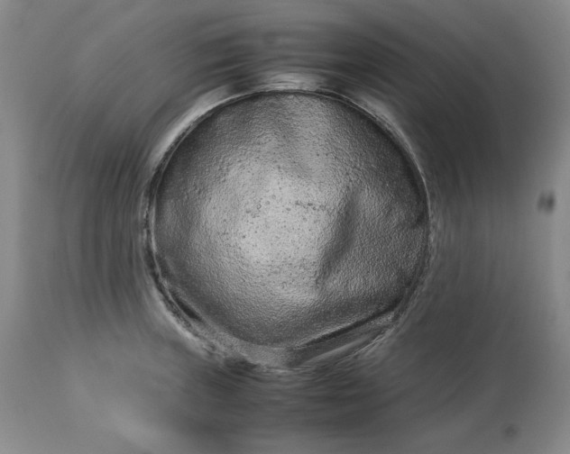 X0000113241235200909241539