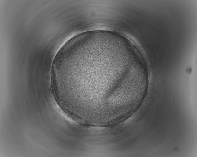 X0000113241236200909241539