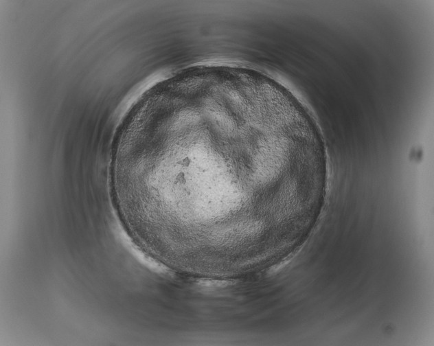 X0000113241237200909241539