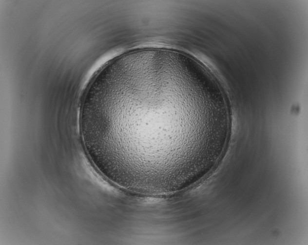 X0000113241238200909241539