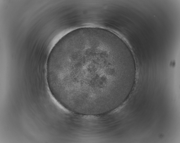 X0000113241239200909241539