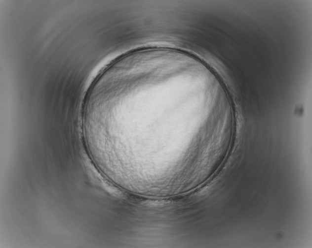 X0000113241240200909241539