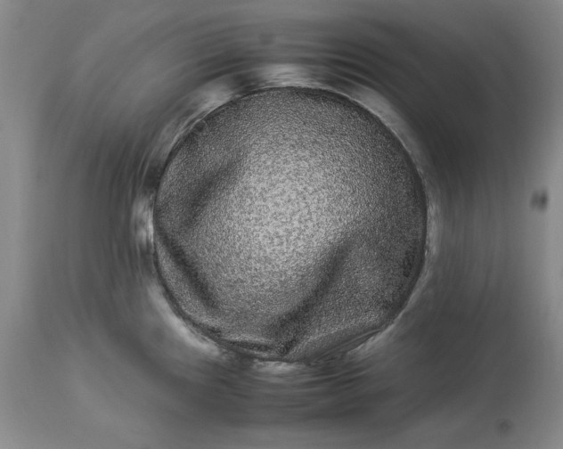 X0000113241241200909241539