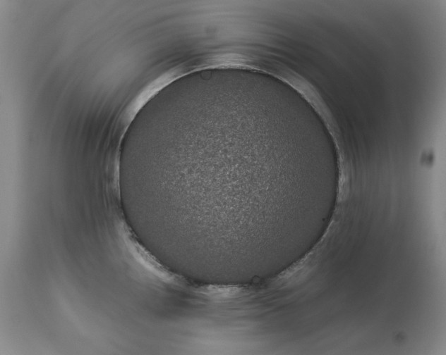 X0000113241242200909241539