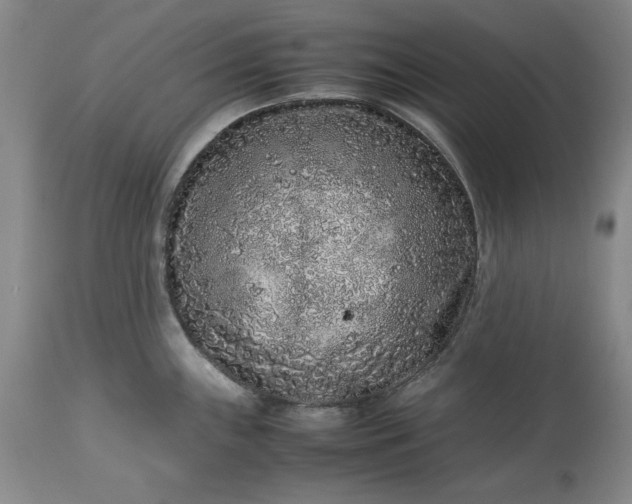 X0000113241243200909241539