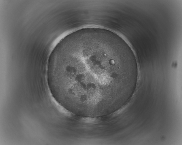 X0000113241245200909241539