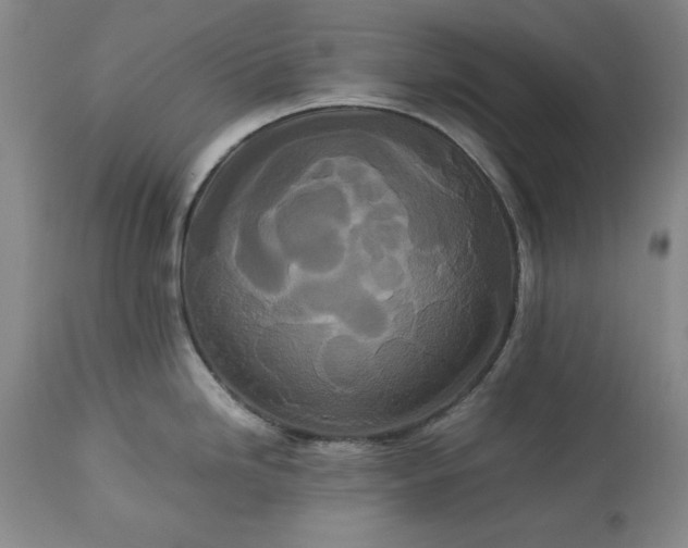 X0000113241246200909241539