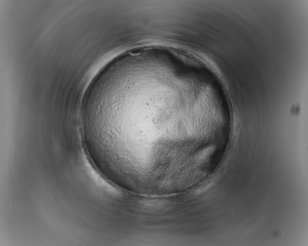 X0000113241247200909241539