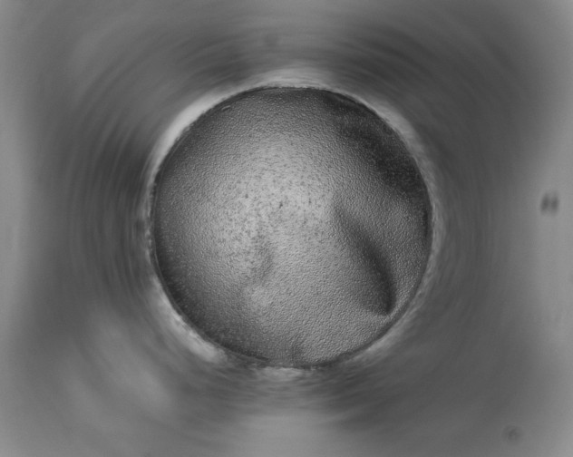 X0000113241248200909241539