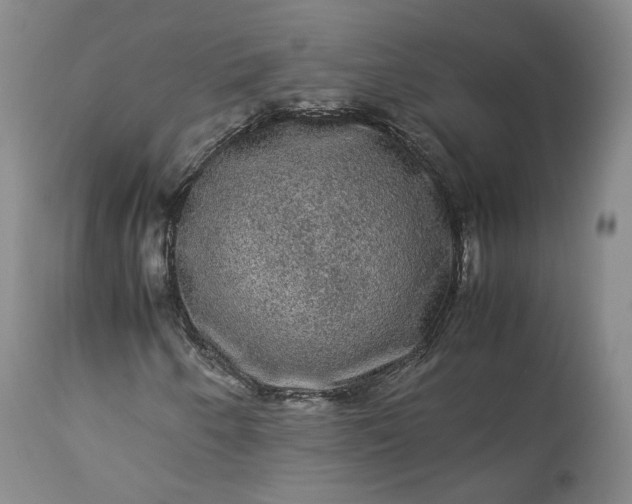 X0000113241250200909241538