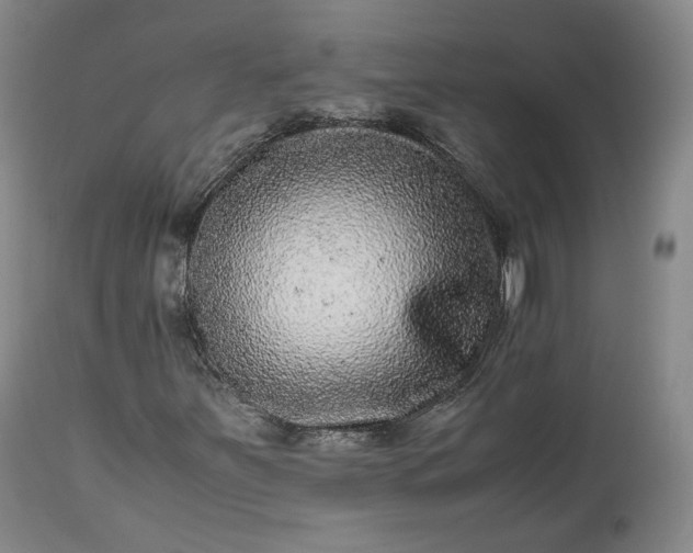 X0000113241251200909241538