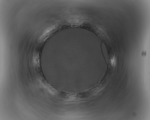 X0000113241252200909241538