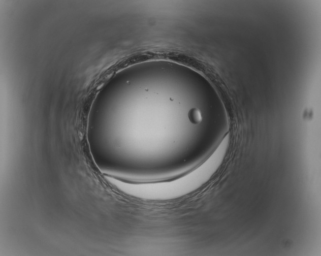 X0000113241253200909241538