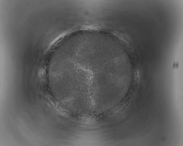 X0000113241254200909241538